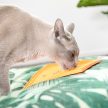  LickiMat® Classic Soother™ - Narancssárga