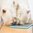  LickiMat® Tuff Buddy™ - több színben