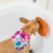  LickiMat® Splash™- több színben