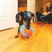 Chuckit! Indoor Ball - Szivacslabda Zsenília felülettel