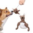 Doglemi Kenguru szimatjáték