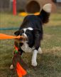 Joy in Dogs  - Fonott huzis játék - Zöld