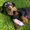 JR Pet Products - 100% Szarvas húsrolád