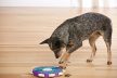 Nina Ottosson Dog Twister fejtörő kutyajáték 