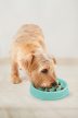Outward Hound Fun Feeder evéslassító - Mini