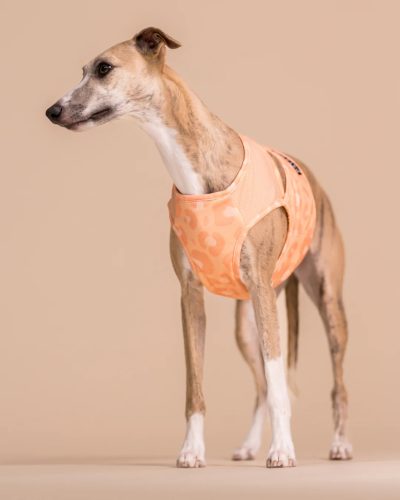 PAIKKA - Hűtőmellény - Peach, L