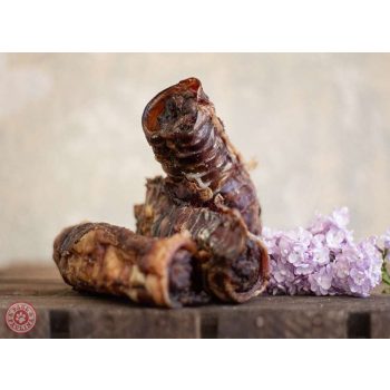   Paul&Paulina Canelloni - Marhalégcső édesburgonyával és kókusszal töltve