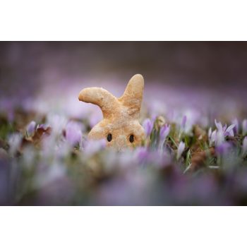   Paul&Paulina - Húsvéti Kutyakeksz Sütőtökkel, Parmezánnal 