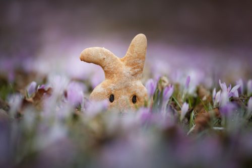 Paul&Paulina - Húsvéti Kutyakeksz Sütőtökkel, Parmezánnal 