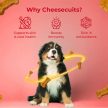 Pawfect - Cheesecuits - Sajtos kutyakeksz Almával és Fahéjjal