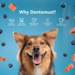 Pawfect - Dentamust L - Himalájai Churpi Áfonyával, Spirulinával (3db) 