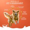 Pawfect - Nature's Sip - Tevetejpor - Papaya, Banán, Brokkoli és Lenmag