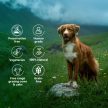 Pawfect - Himalájai Ropogós Churpi Sajtcsontok