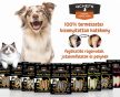 Qchefs - Dental Flips természetes fogtisztító 
