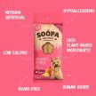 SOOPA - Dental Sticks Mini  - Banán és Sütőtök fogtisztító