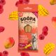 SOOPA - Dental Sticks - Mangó és Málna fogtisztító