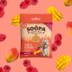 SOOPA - Healthy Bites -  Mangó és Málna falatok