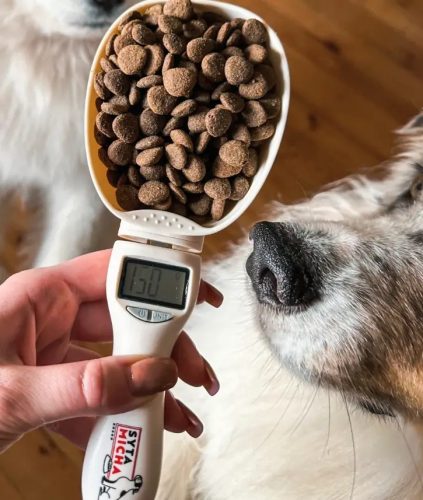 Syta Micha - Digitális Kanálmérleg