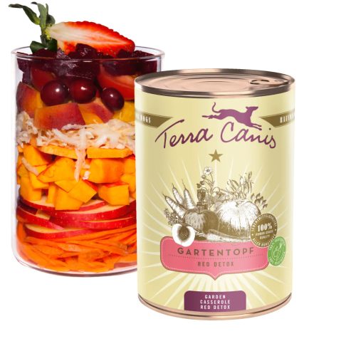 Terra Canis - Red Detox - Sütőtök, Őszibarack, Eper (400g)