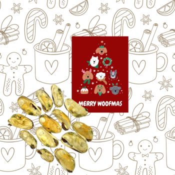   Vauhaus - Fagyasztva szárított Új-Zélandi Zöldkagyló - Limitált Karácsonyi