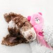 ZippyPaws - Jigglerz - Pink Bear