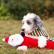 ZippyPaws - Jigglerz - Santa