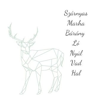 Húsok állatfajonként