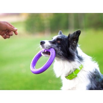 Apportjátékok, Puller