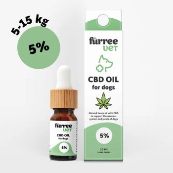 CBD olaj 