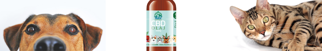 CBD olaj kutyáknak és macskáknak