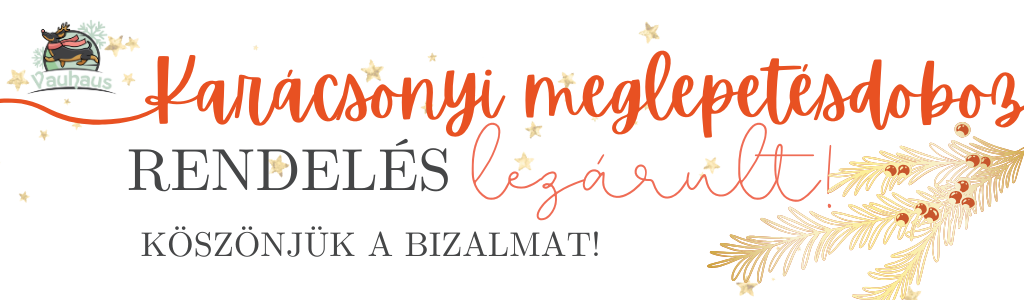 Vau Suprise - Személyreszabott  meglepetésdoboz kutyáknak rendelés lezárult