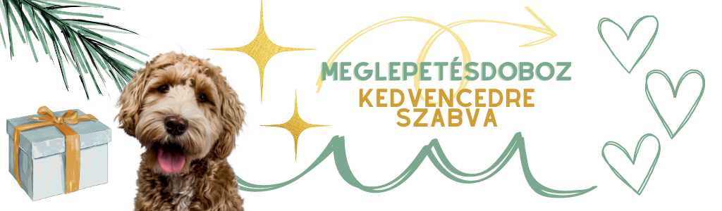 Vau Suprise - Személyreszabott  meglepetésdoboz kutyáknak