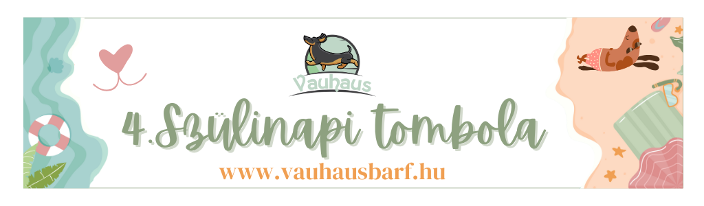 Vauhaus Születésnapi Tombola